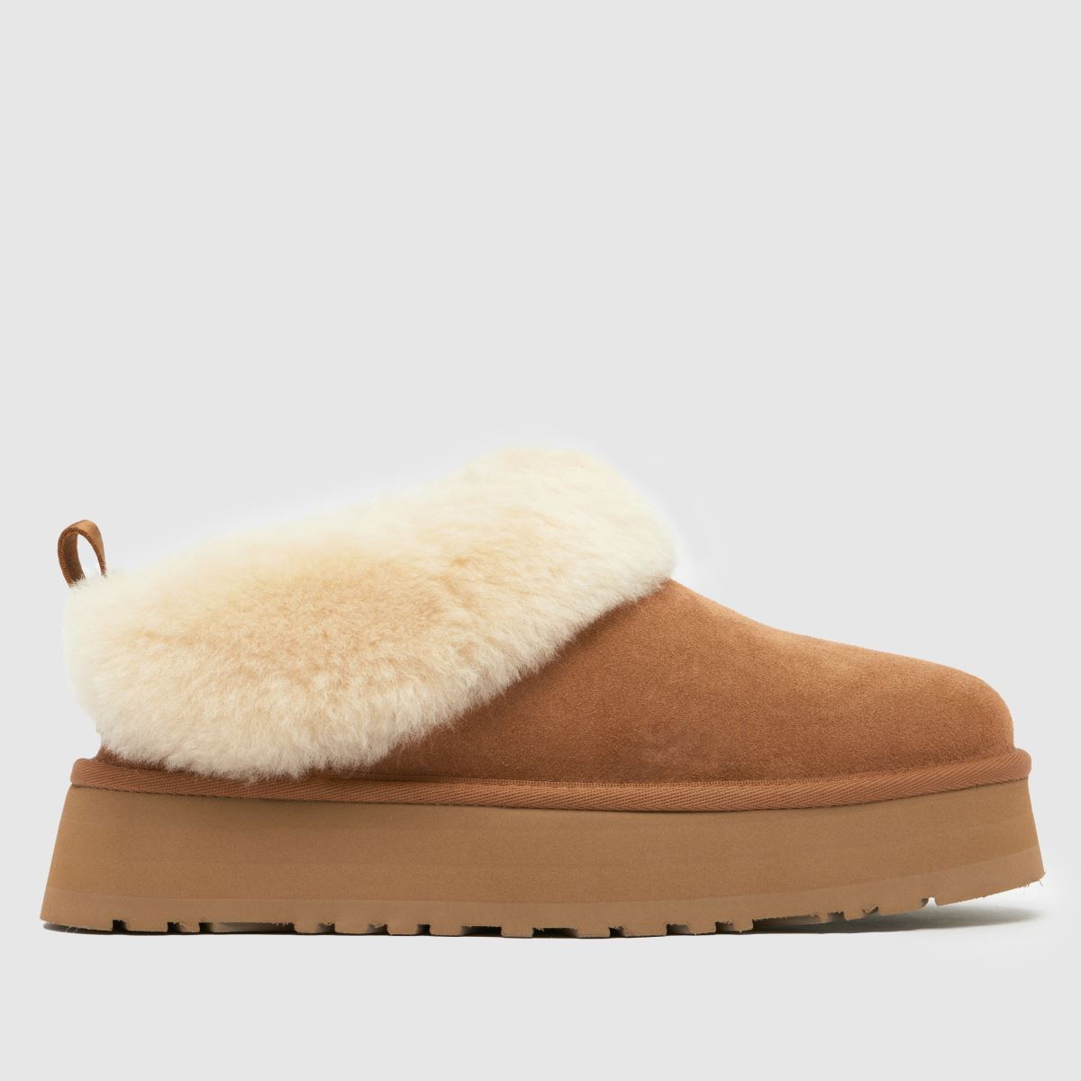 schuh UGG Tazzelle in Chestnut