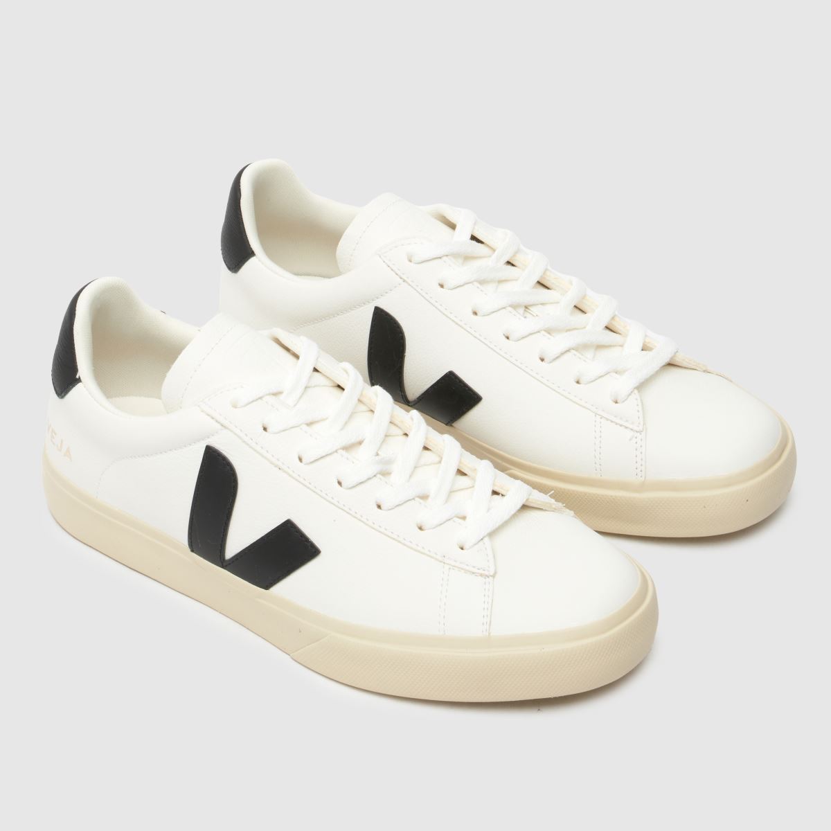 Schuh VEJA Campo In White & Black