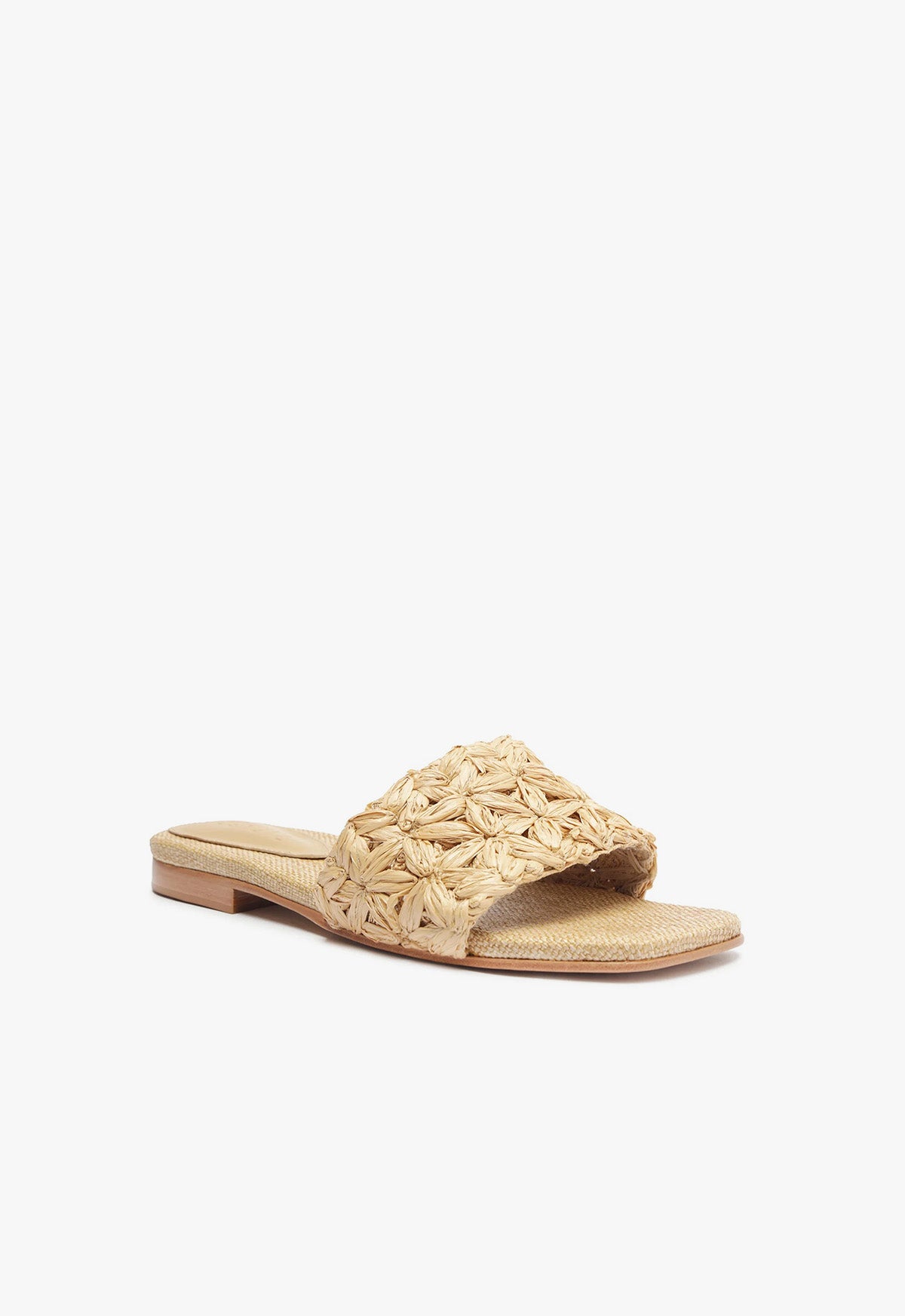 Schutz Ayla Flat Sandal