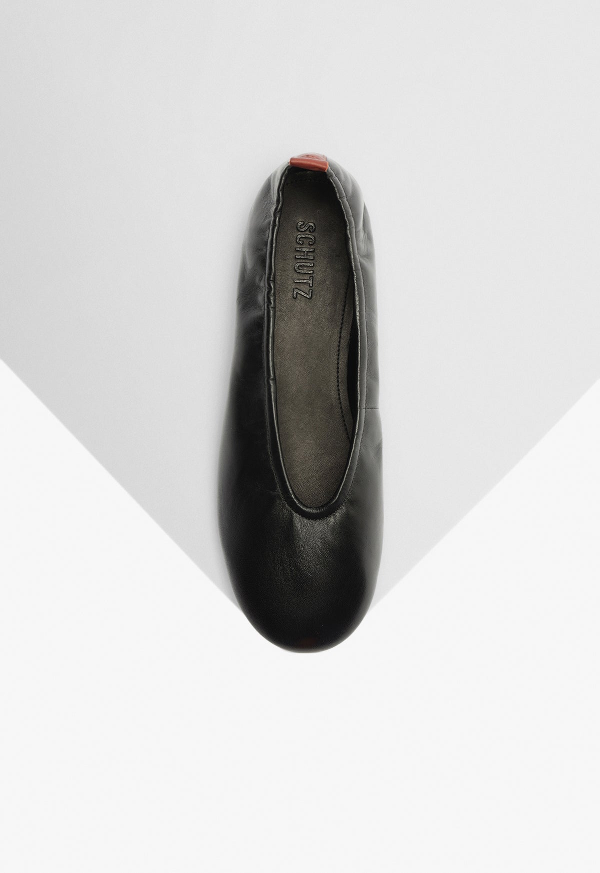 Schutz Eudora Leather Flat