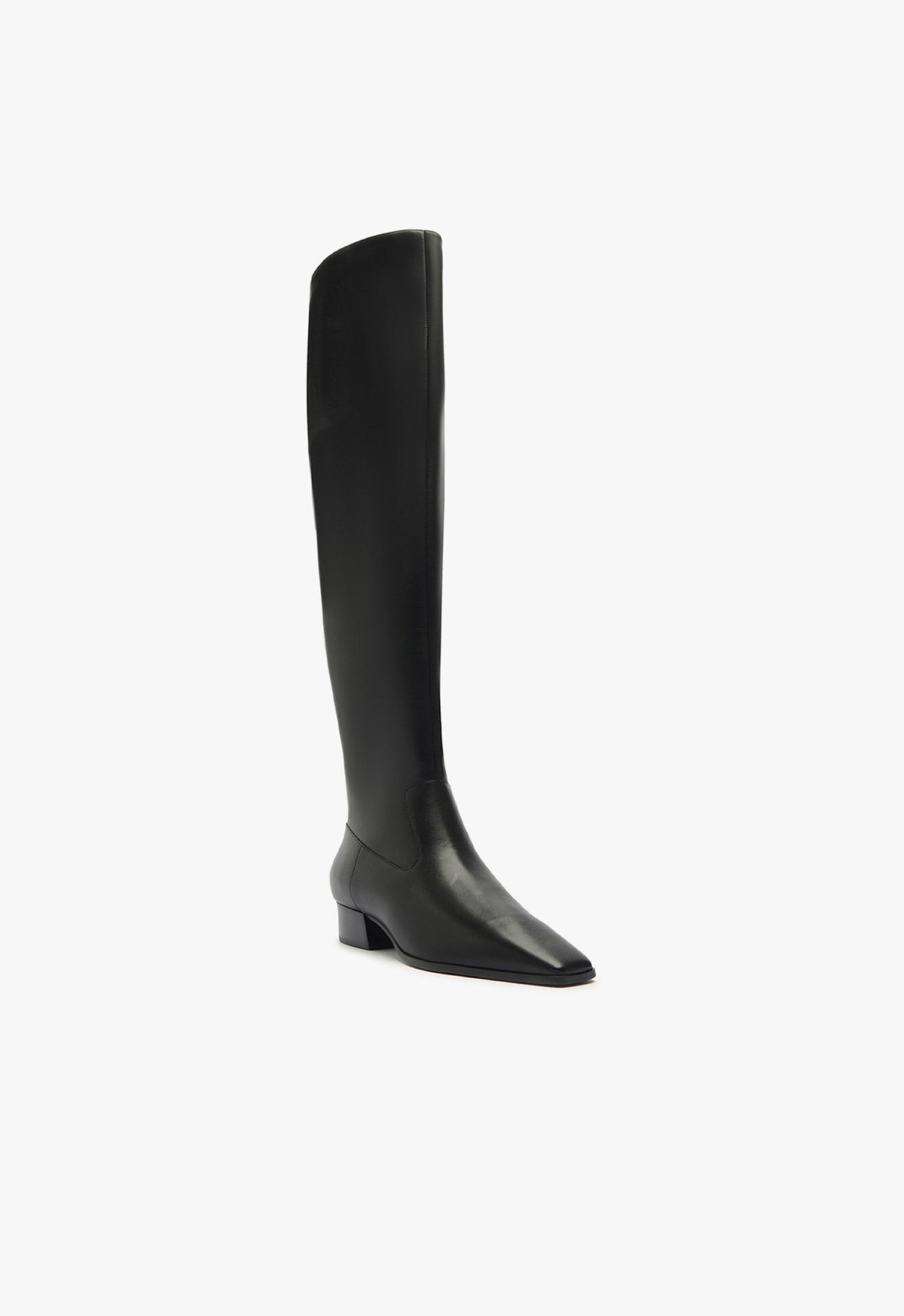 Schutz Helena Over The Knee Boot