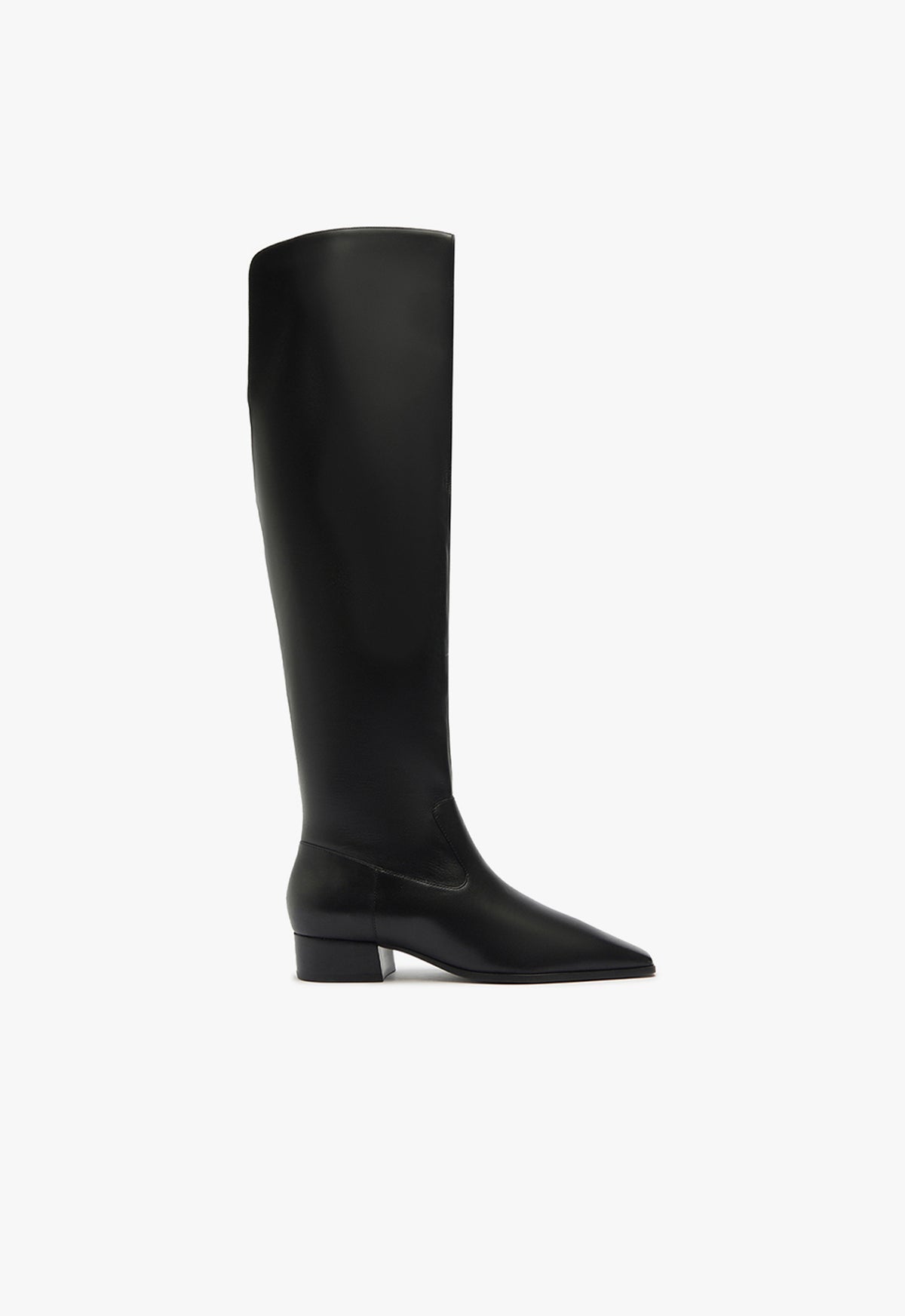schutz Helena Over the Knee Boot