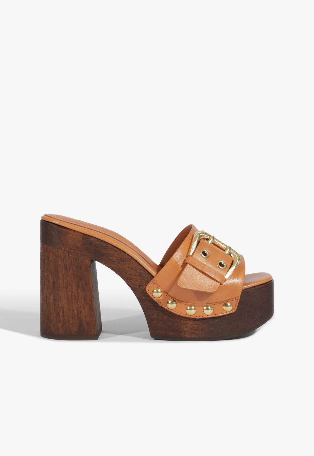 schutz Irie Platform Leather Sandal