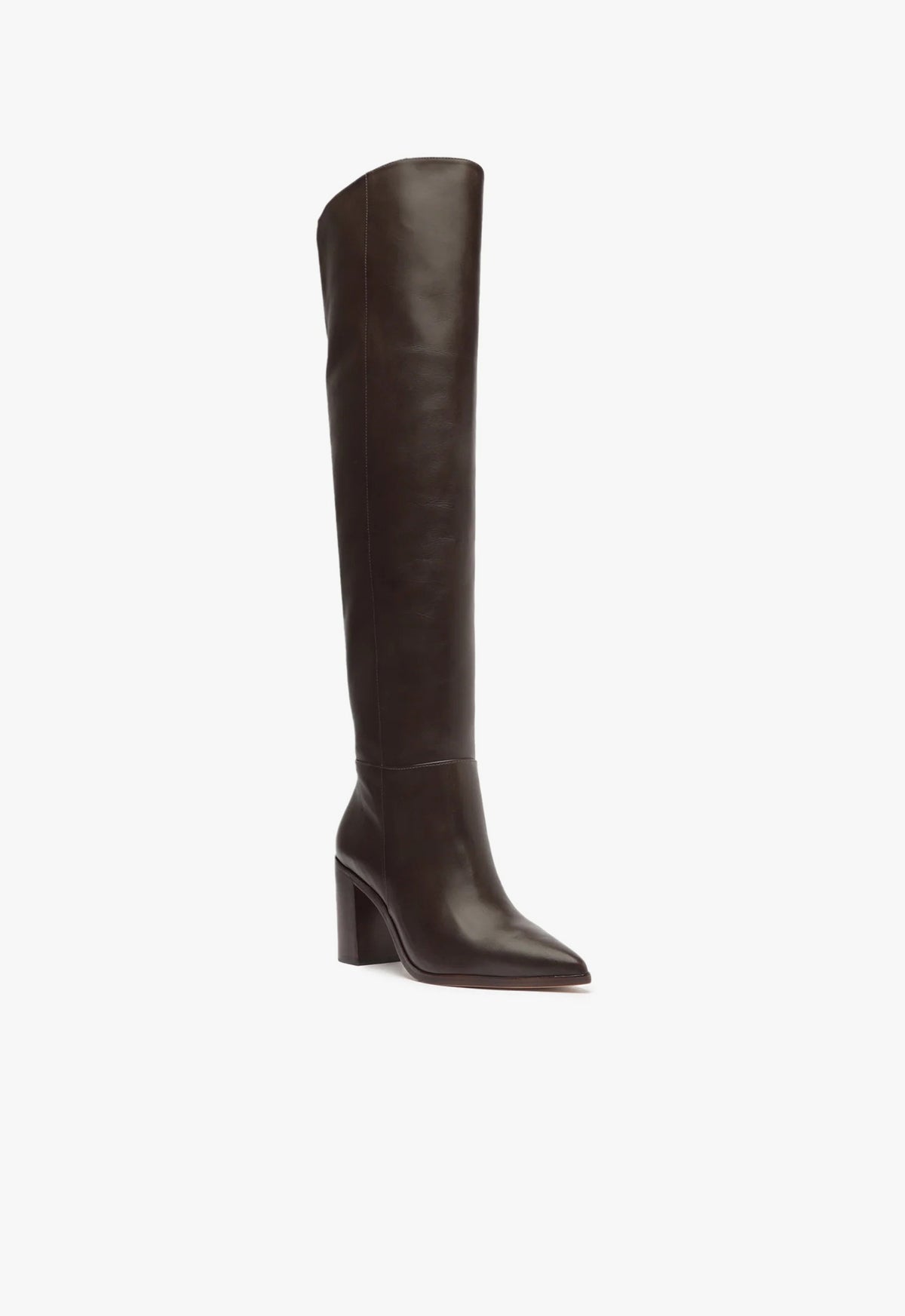 Schutz Magali Block Over The Knee Leather Boot