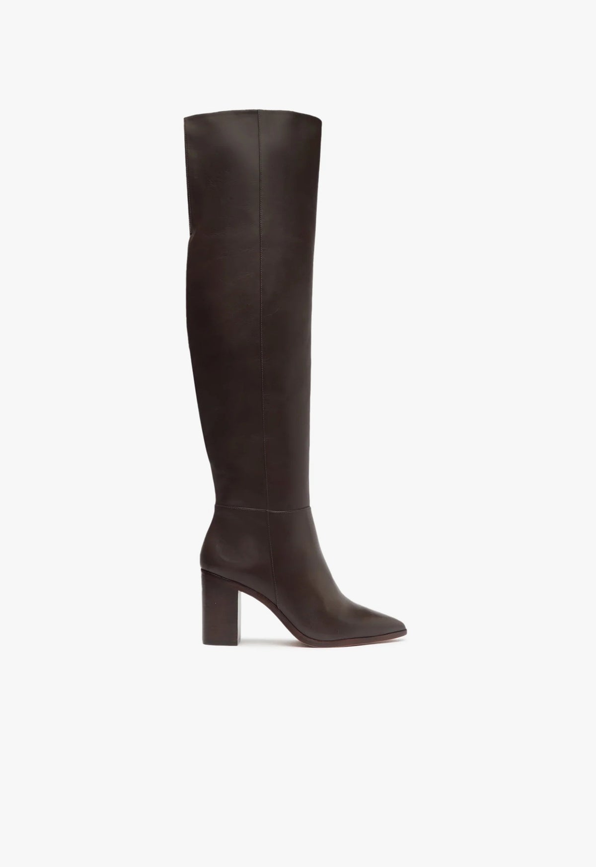 schutz Magali Block Over the Knee Leather Boot