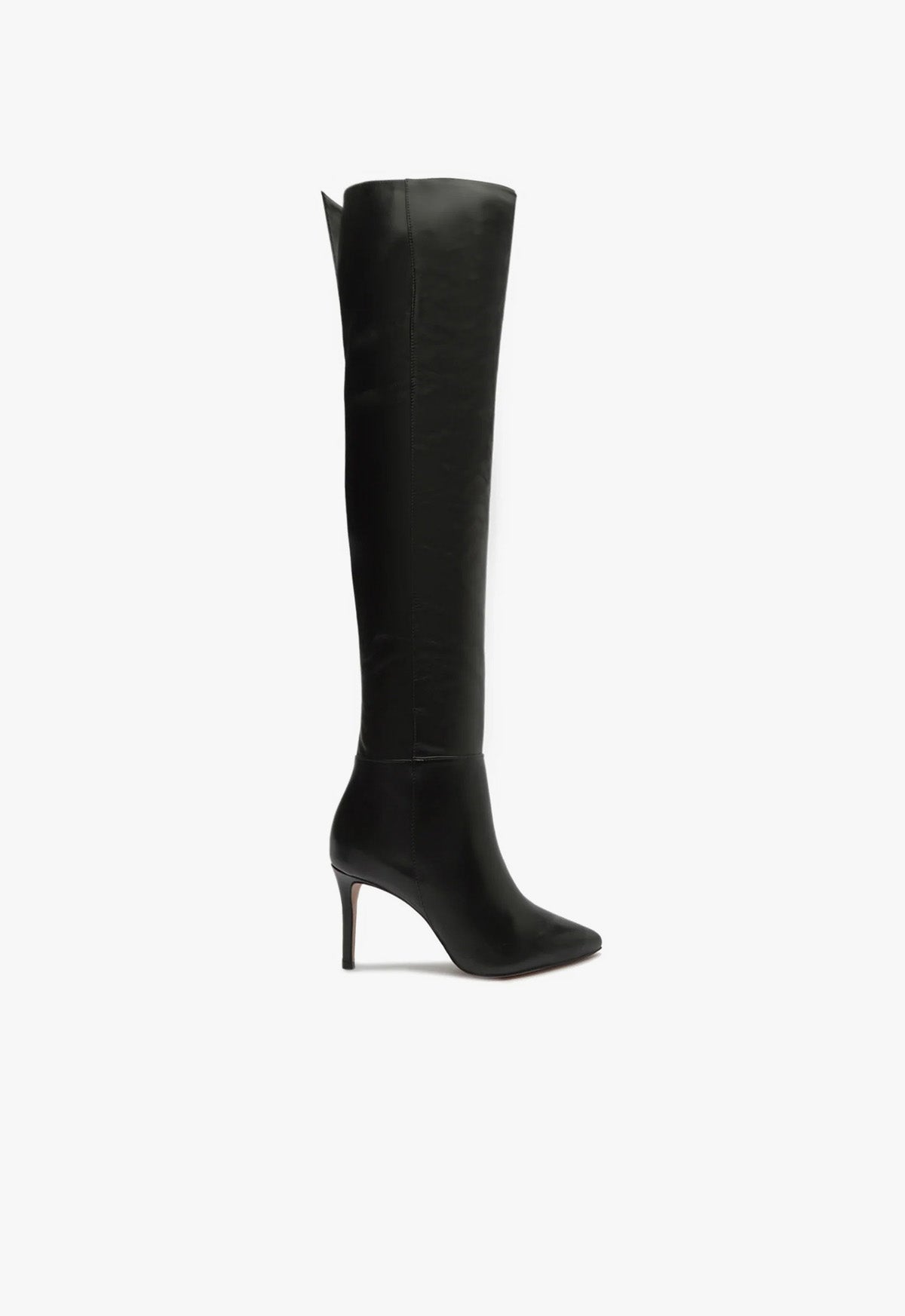 schutz Magali Over the Knee Leather Boot