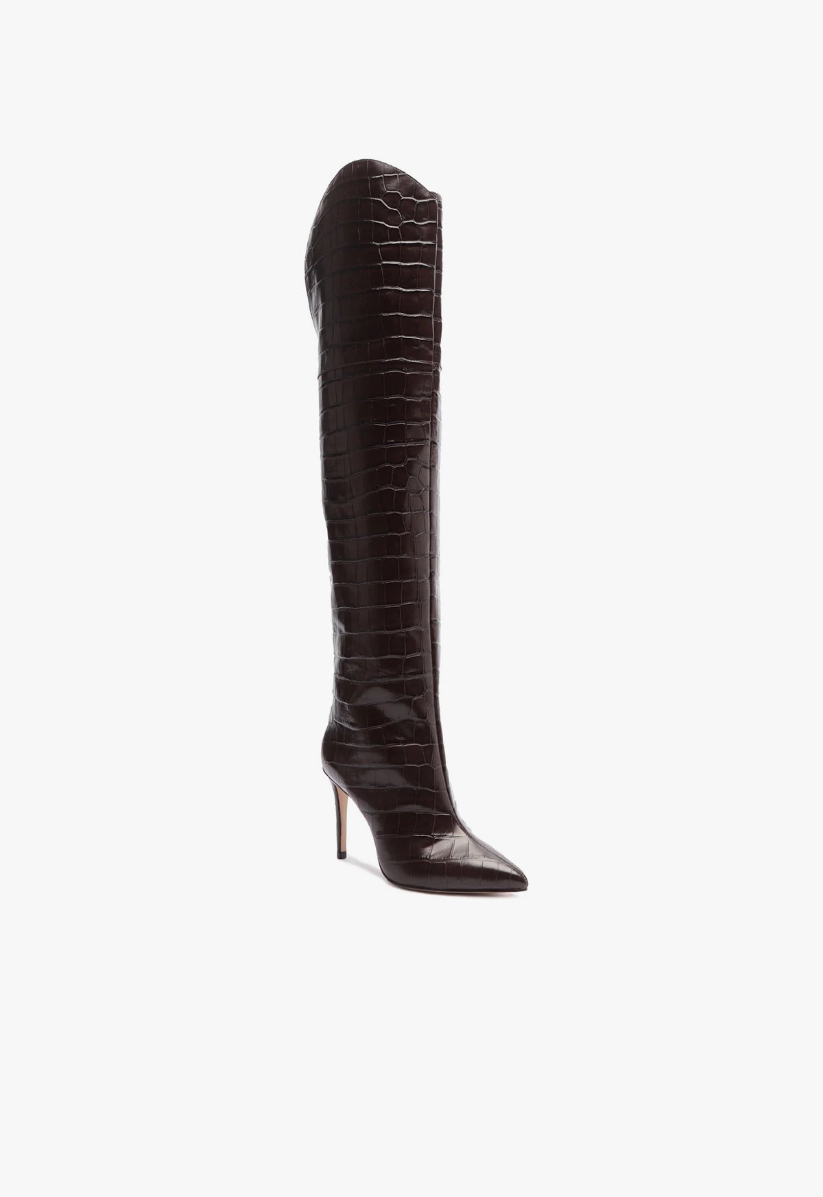 Schutz Maryana Over The Knee Leather Boot