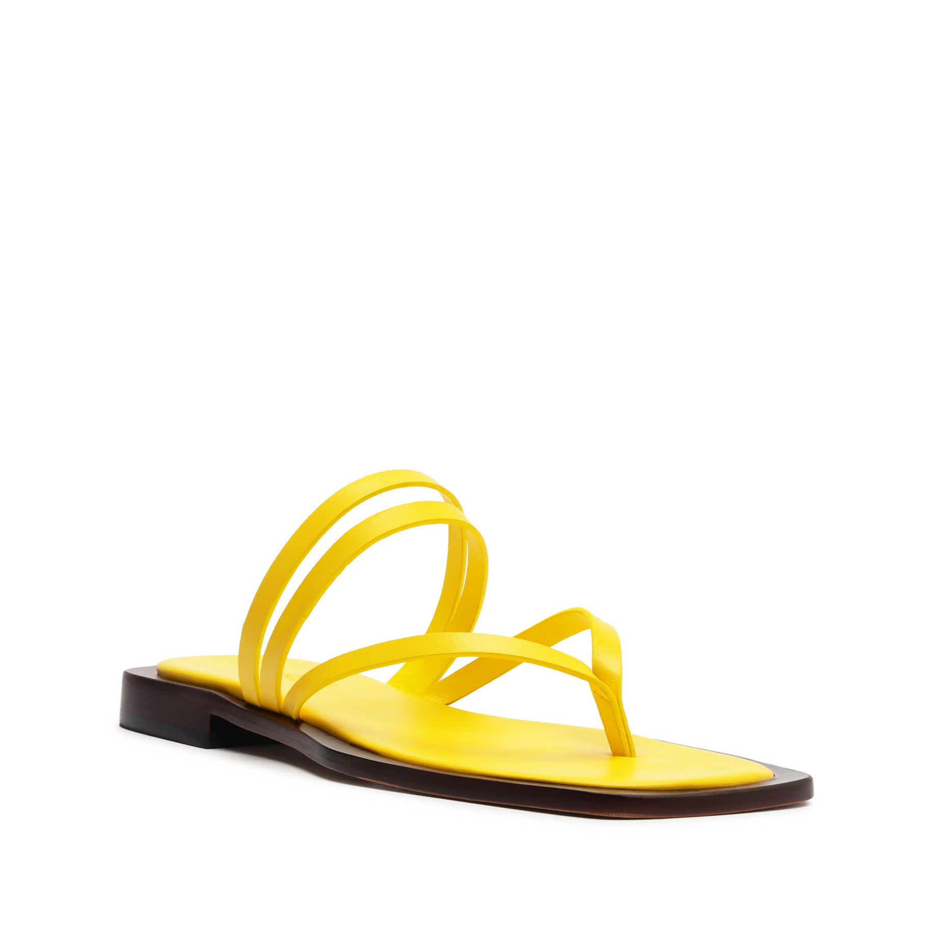 Schutz Rania Leather Flat Sandal