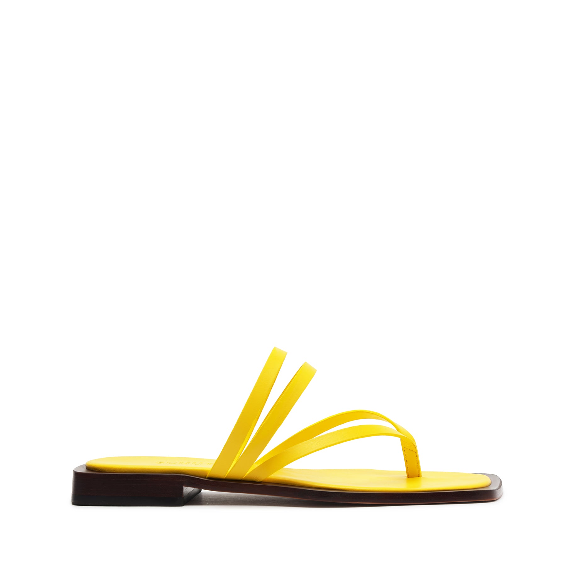 schutz Rania Leather Flat Sandal