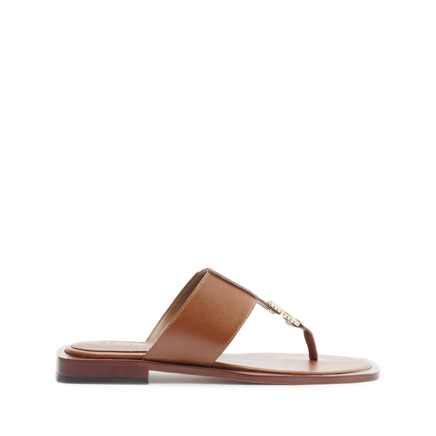 schutz Salma Metallic Leather Flat Sandal