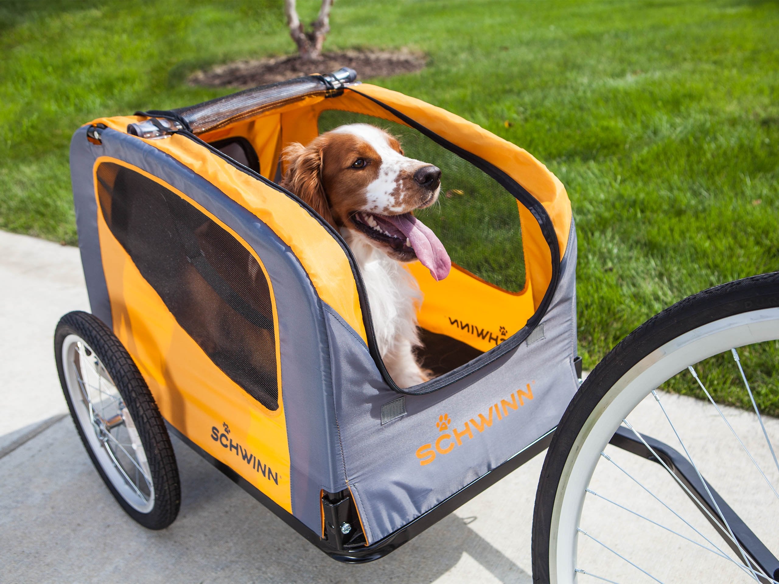 Schwinn Rascal Pet Bike Trailer Bike Trailer Orange