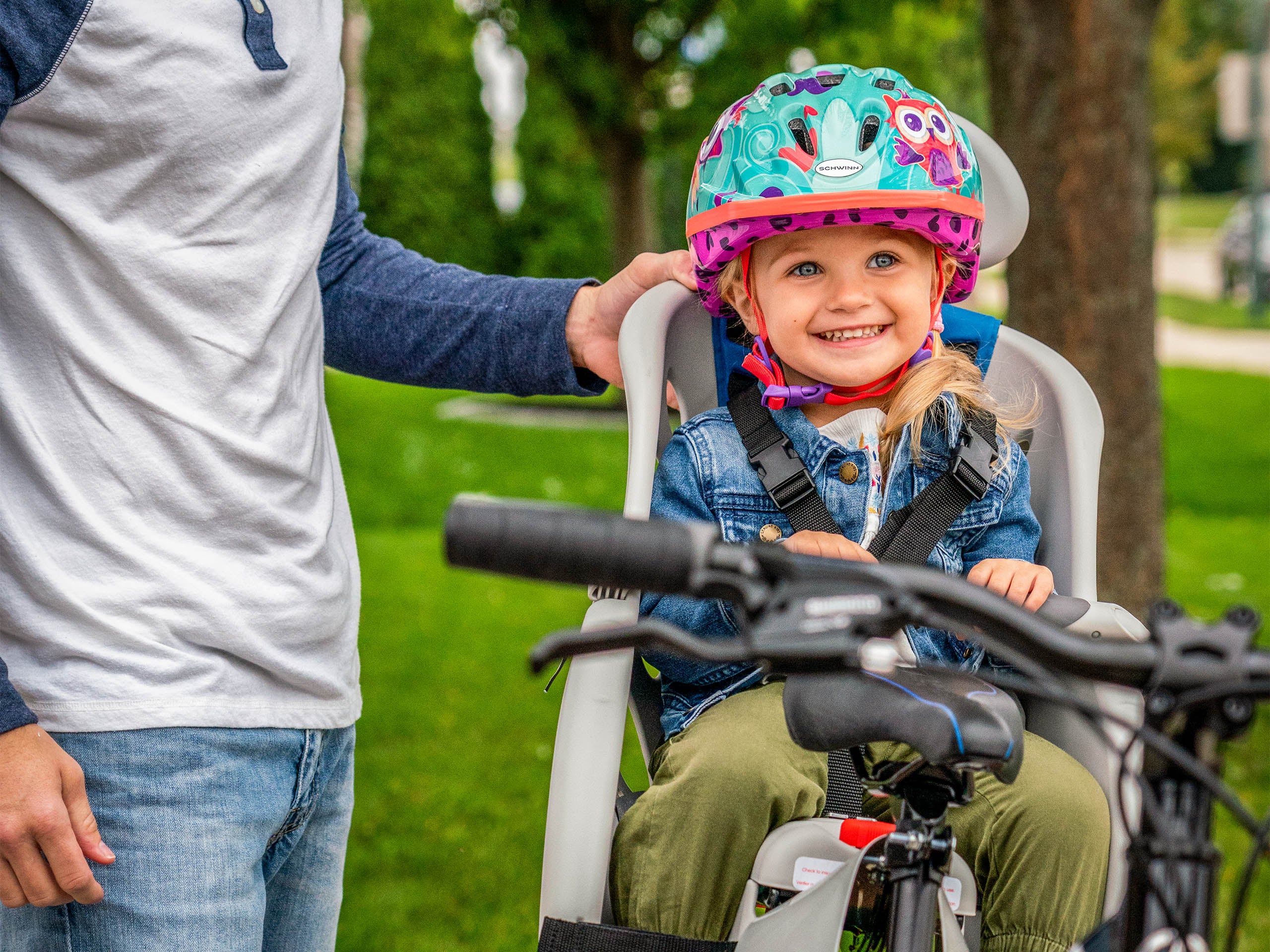 Schwinn Deluxe Child Carrier Child Carrier Grey