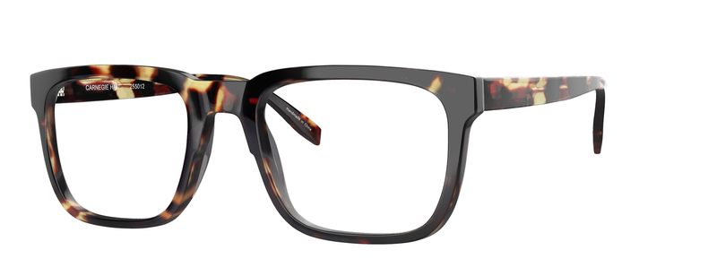 Scojo New York Carnegie Hall