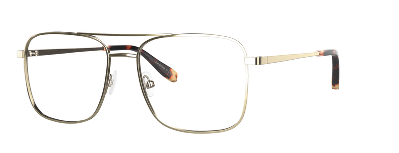 Scojo New York Studio 54