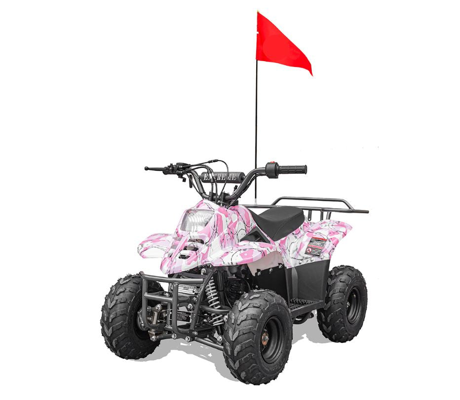 Scooter Plus Hawk 110CC