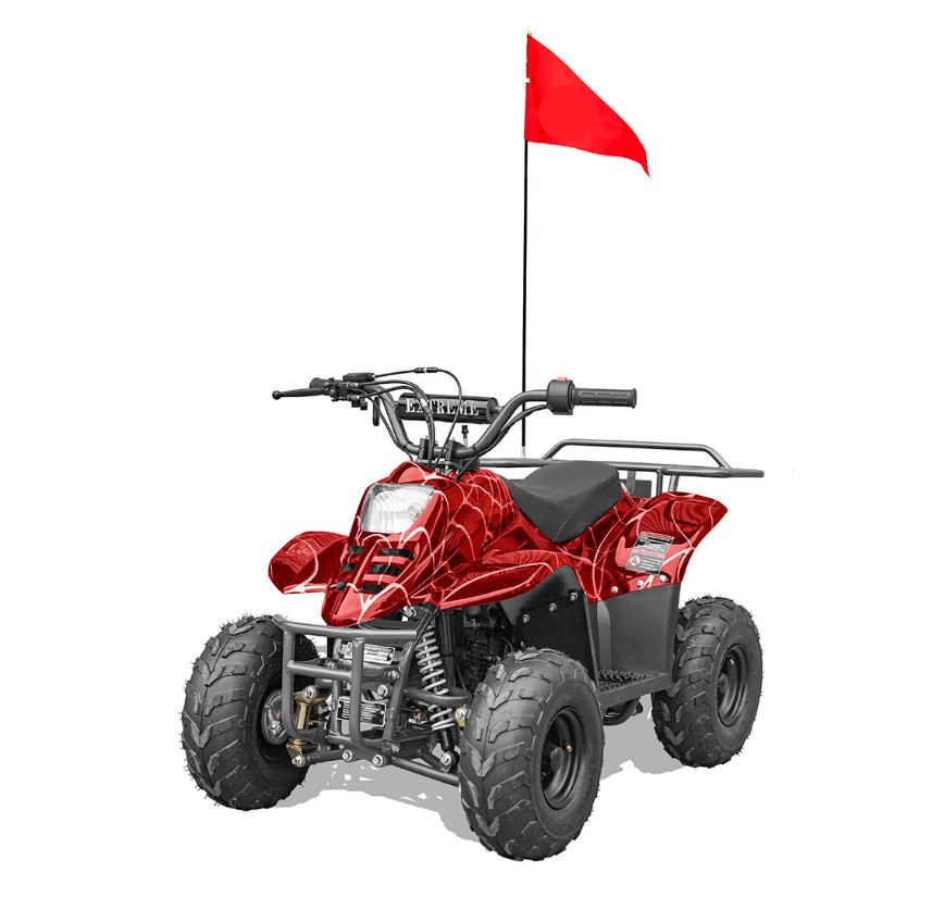 scooter plus Hawk 110CC