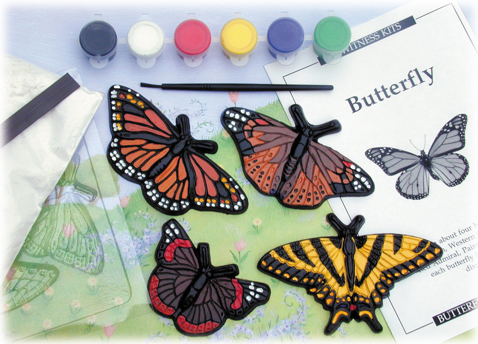 Sd Toys Eyewitness Kits Butterfly