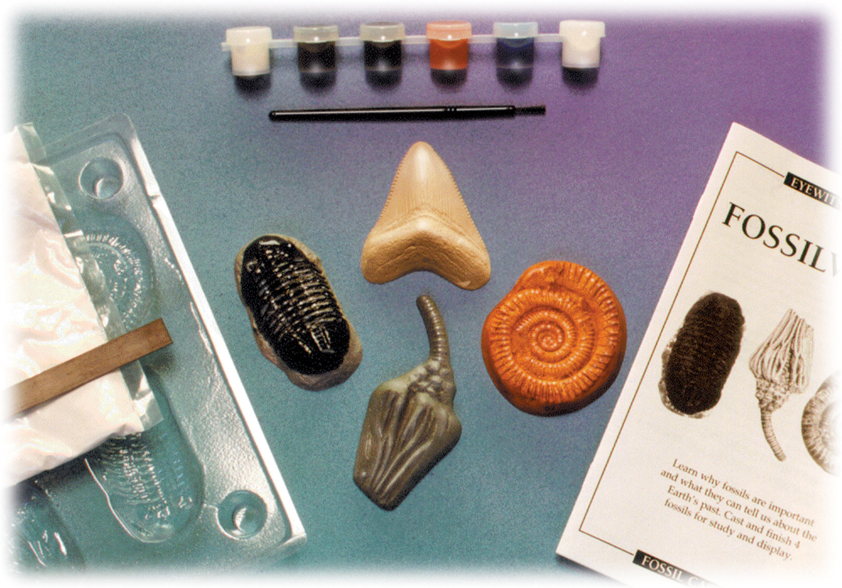 Sd Toys Eyewitness Kits Fossilworks