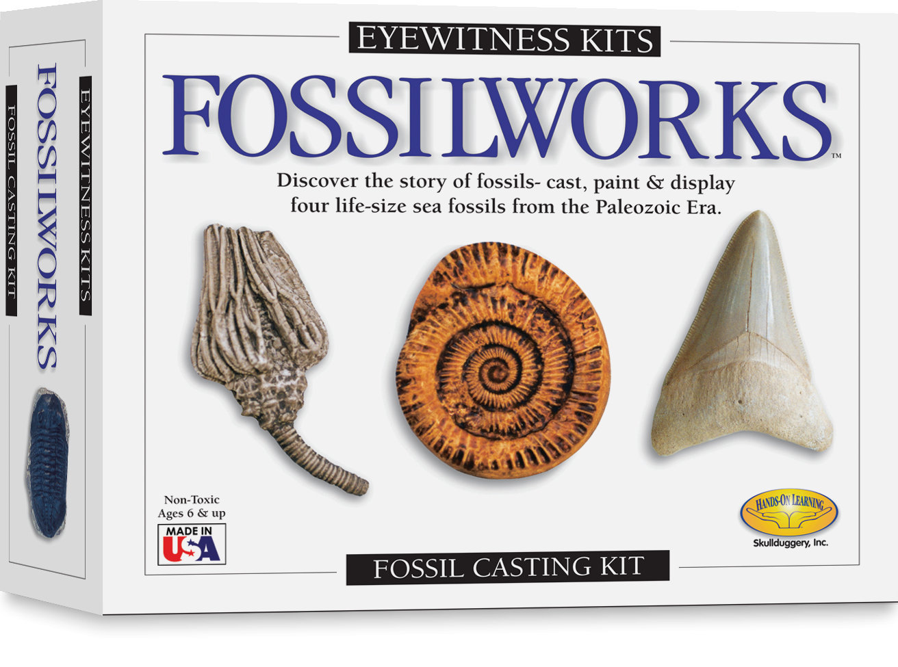 sd toys Eyewitness Kits Fossilworks