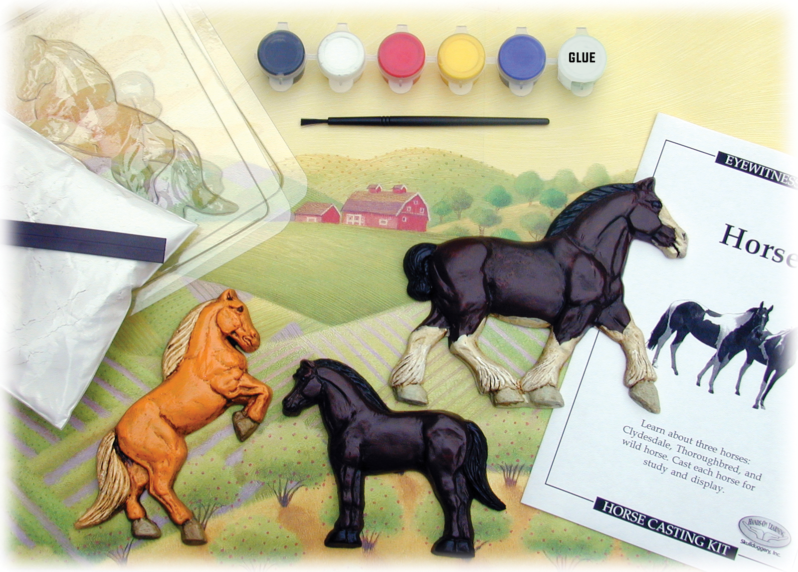 Sd Toys Eyewitness Kits Horse
