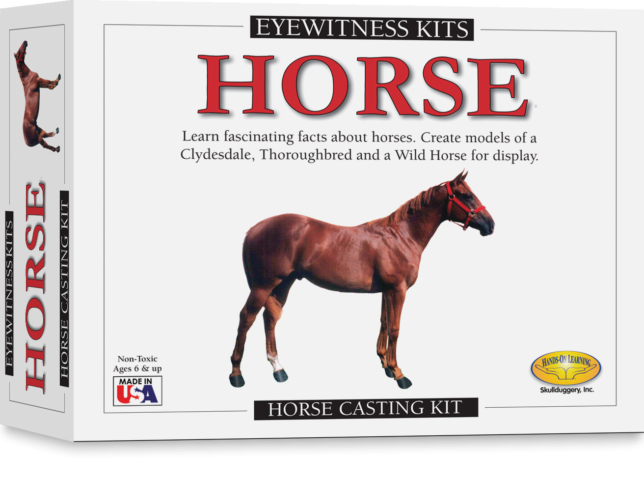 sd toys Eyewitness Kits Horse