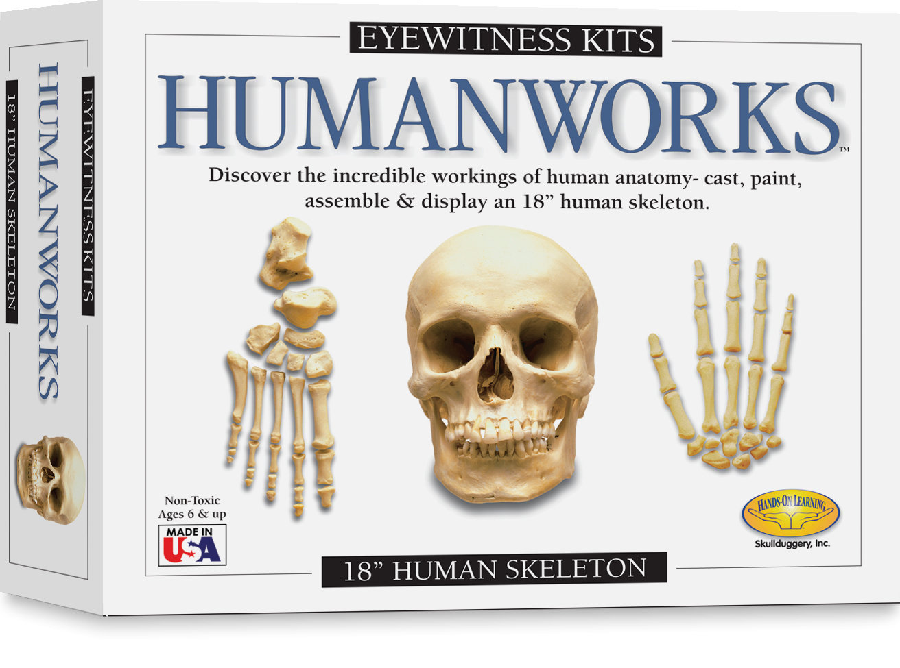 sd toys Eyewitness Kits Humanworks