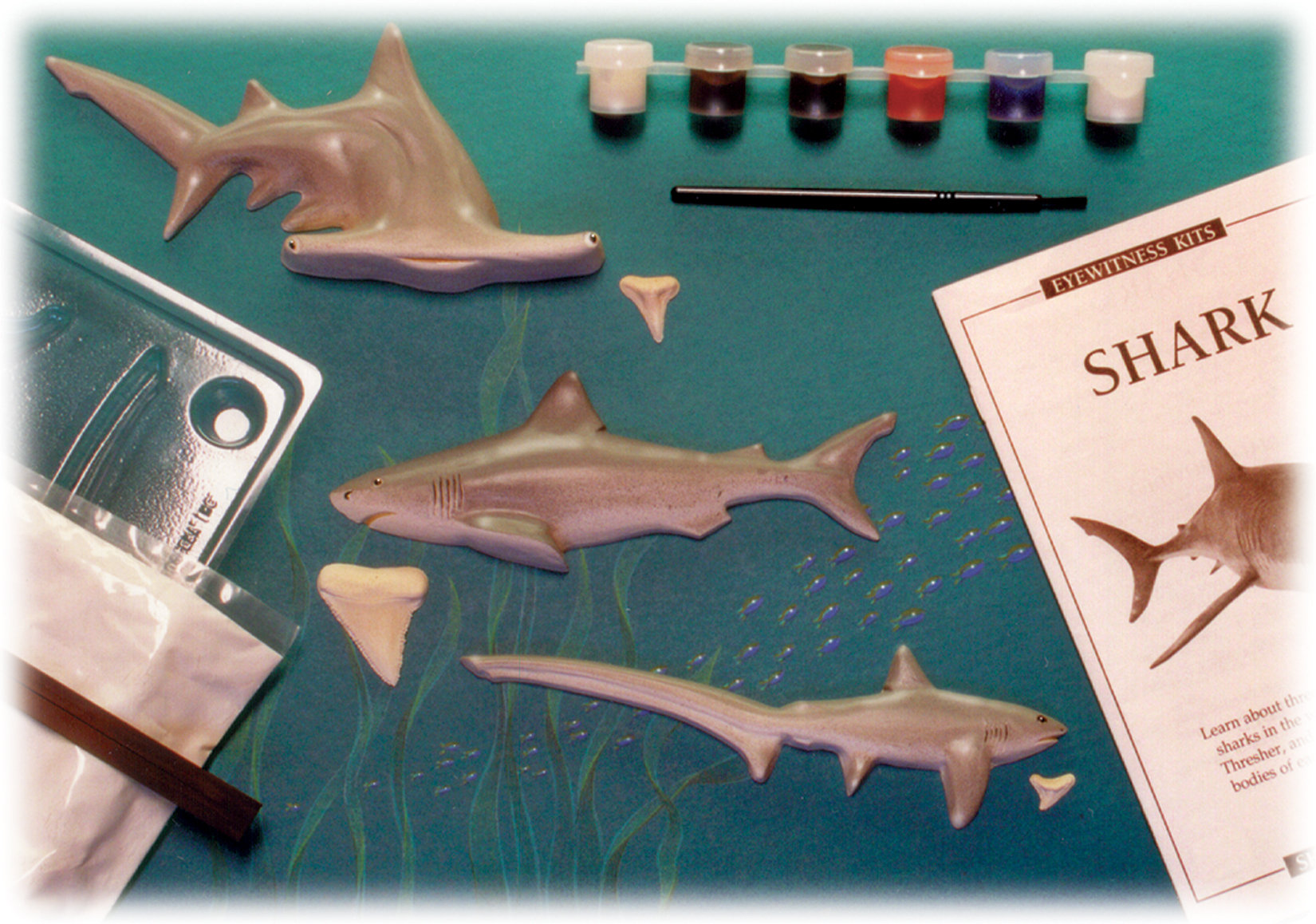 Sd Toys Eyewitness Kits Shark