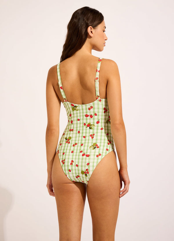 Seafolly Beach Picnic DD One Piece Swimsuit