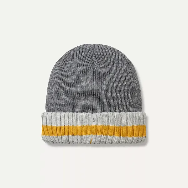 Sealskinz Waterproof Cold Weather Striped Roll Cuff Beanie Holkham