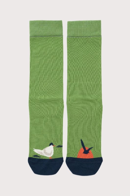 seasalt cornwall Men's Everyday Socks