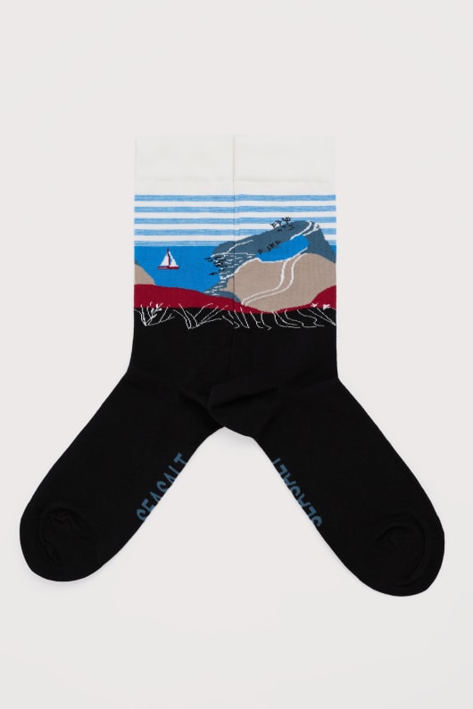 Seasalt Cornwall Men's Postcard Socks