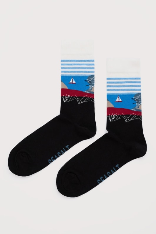 seasalt cornwall Men's Postcard Socks