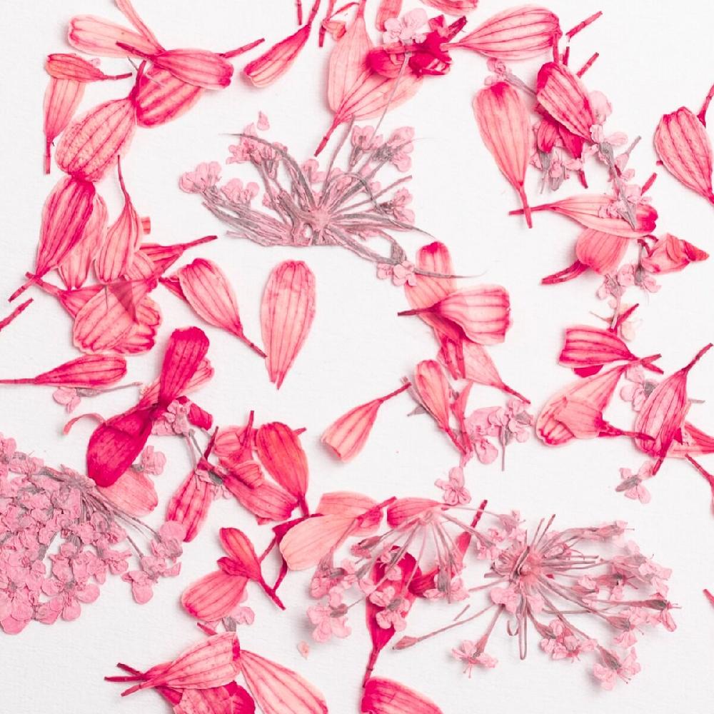 Semilac Semilac Flower Flakes Coral Blossom Nail Art