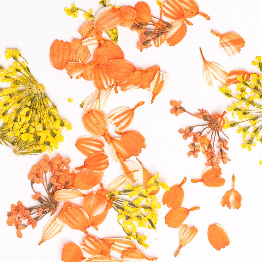 Semilac Semilac Flower Flakes Golden Sunset Nail Art