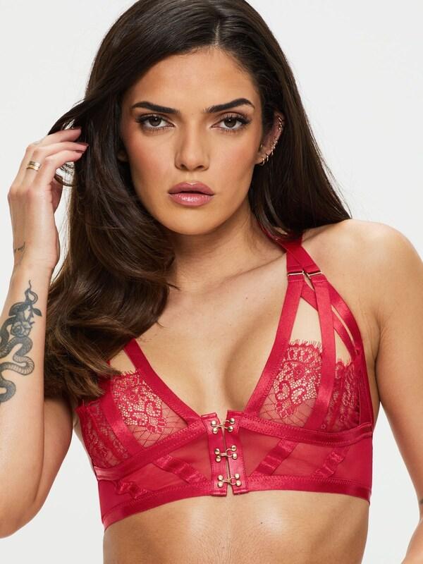 Seraphine Ann Summers Red Exuberant Lace And Mesh Crotchless Set