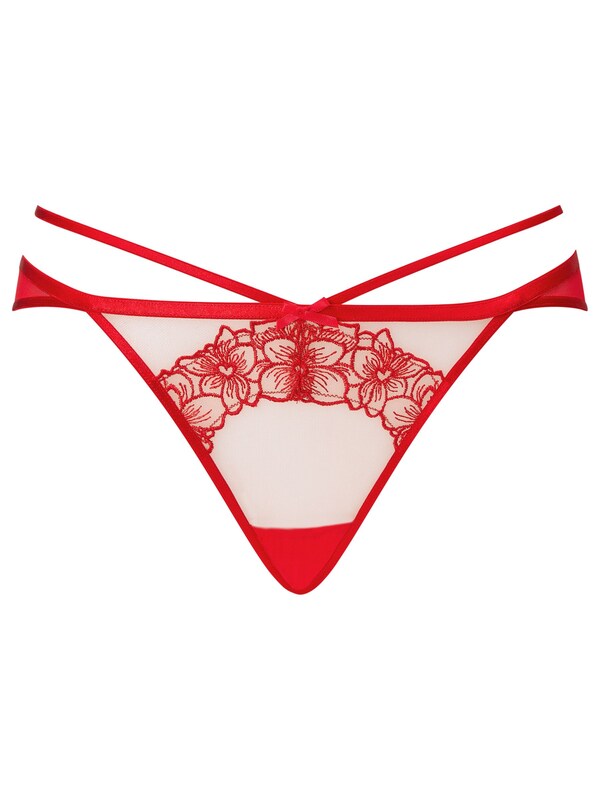 Seraphine Ann Summers Red Floral Affair Embroidered Brazilian Knickers
