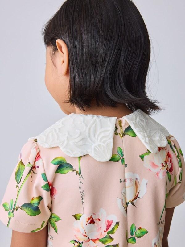 Seraphine Baker By Ted Baker Lace Collared Ponte Dress