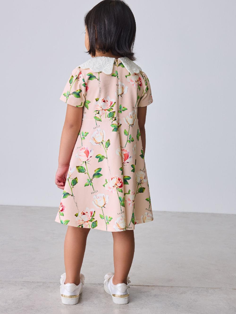 seraphine Baker by Ted Baker Lace Collared Ponte Dress