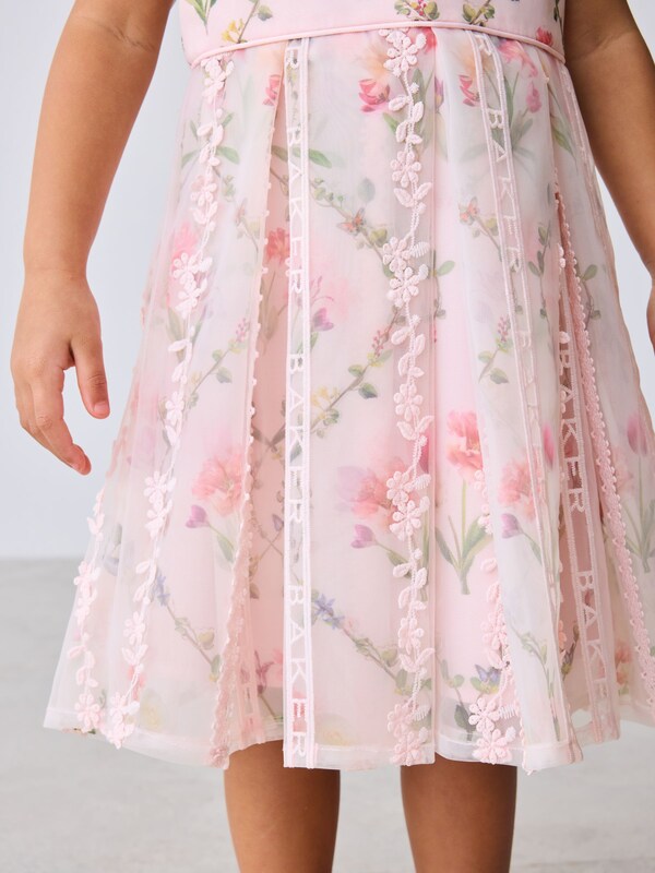 Seraphine Baker By Ted Baker Pink Organza Floral Trellis Lace Overlay Dress