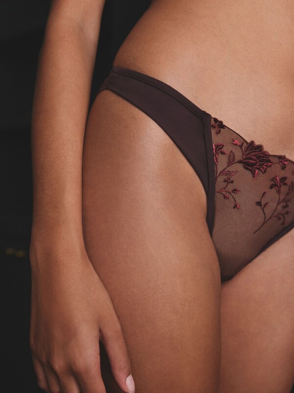 Seraphine Berry Red Premium Swiss Floral Embroidery Knickers