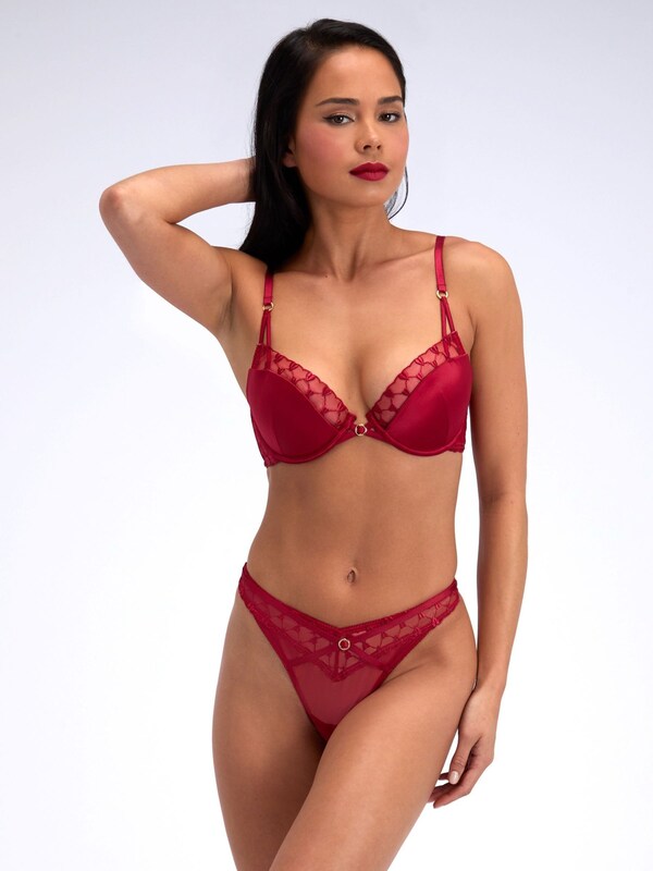 Seraphine Boux Avenue Pillar Box Red Josephina Embroidered Bra