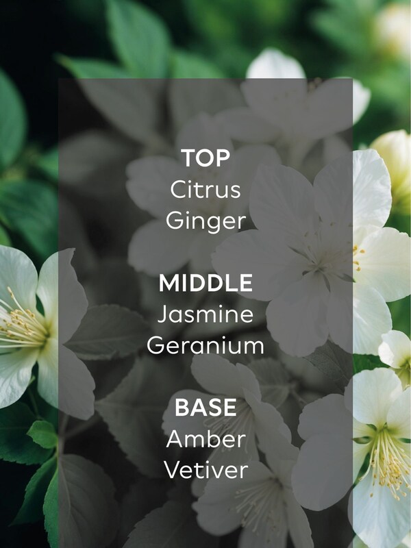 Seraphine Collection Luxe New York Moonlight Amber & Jasmine Large 3 Wick Candle