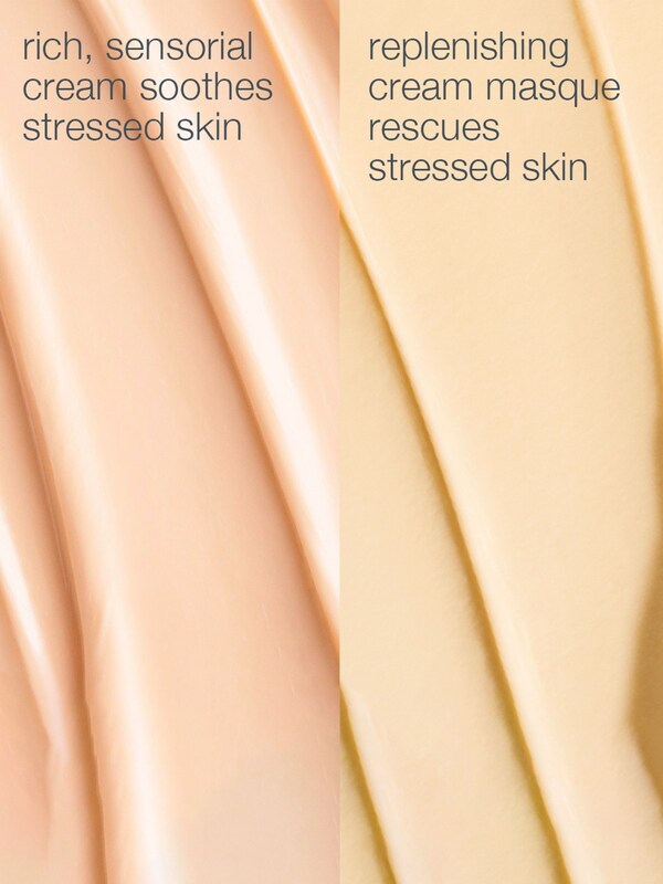 Seraphine Dermalogica Stressed Skin Recovery System (Worth £157)