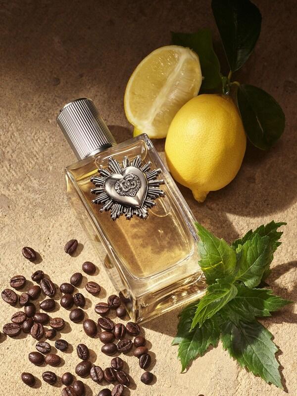 Seraphine Dolce & Gabbana Devotion Eau De Parfum For Men 100ml