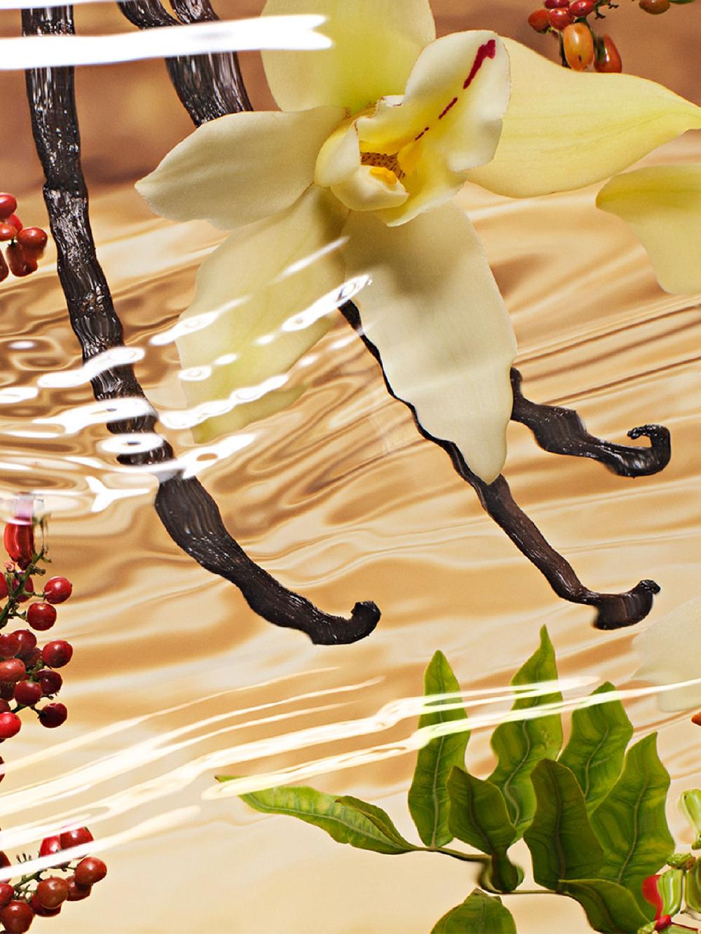 seraphine Estée Lauder Infinite Sky Eau de Parfum Spray 100ml