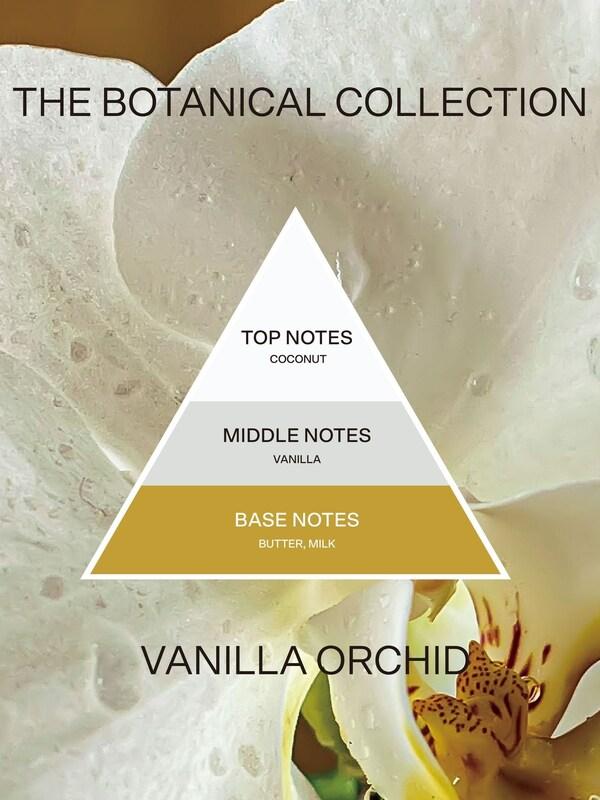 Seraphine French Connection Botanical Infused Vanilla Orchid Candle 660G