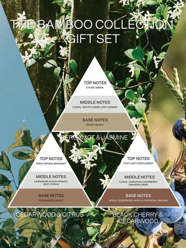 Seraphine French Connection Natural Mix Woven Detail Trio Of Reed Diffuser Gift Set 3 X 50ML