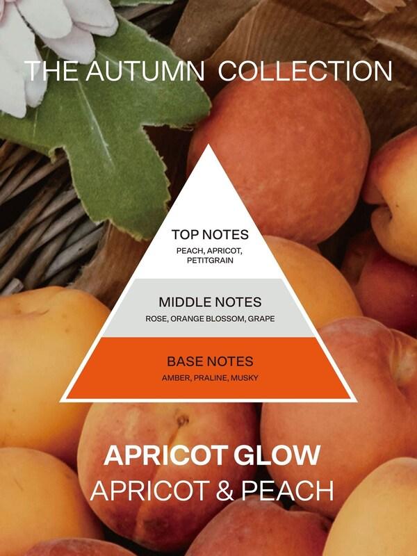 Seraphine French Connection Square Range Apricot Peach 200G Candle And 100ML Reed Diffuser Gift Set