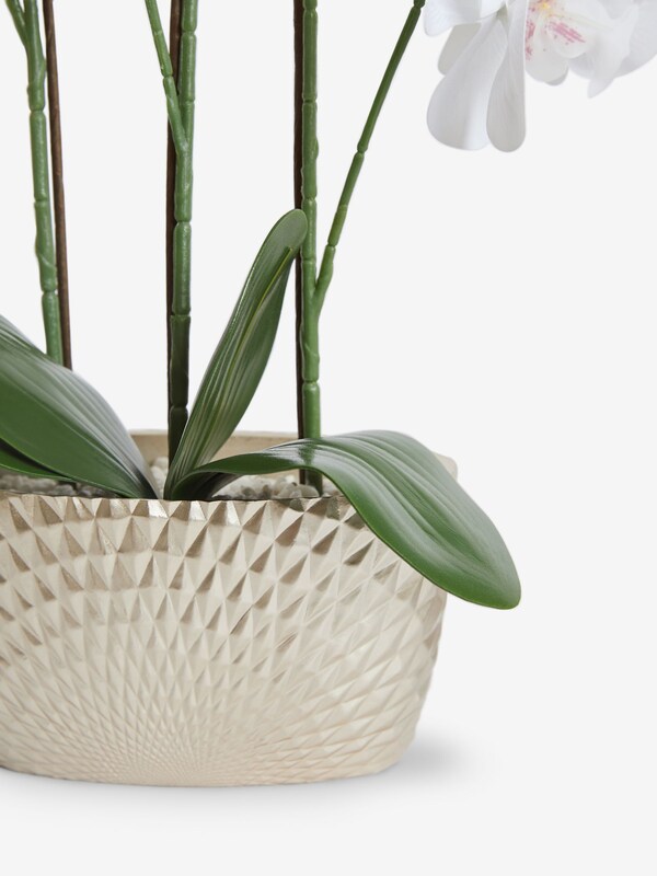 Seraphine Gold/White Artificial Real Touch Orchid In Geo Pot