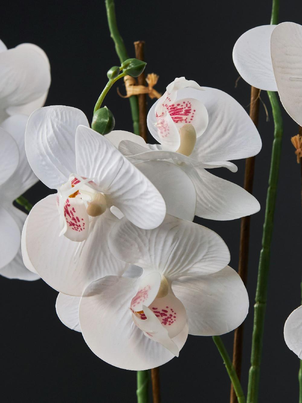 seraphine Gold/White Artificial Real Touch Orchid in Geo Pot